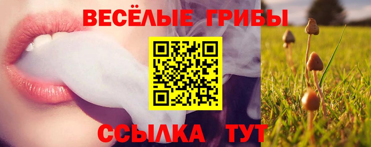 Псилоцибиновые грибы Psilocybine cubensis  Вход с VPN  Стрежевой 