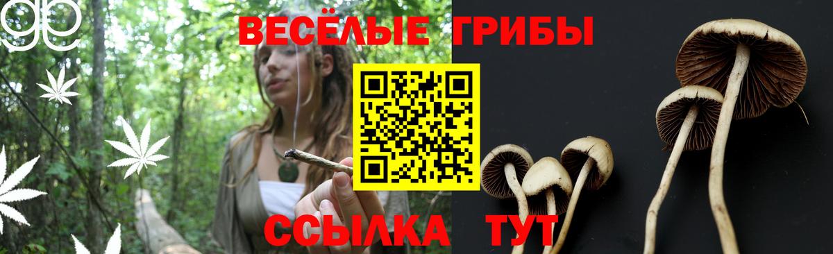 Псилоцибиновые грибы Magic Shrooms Стрежевой